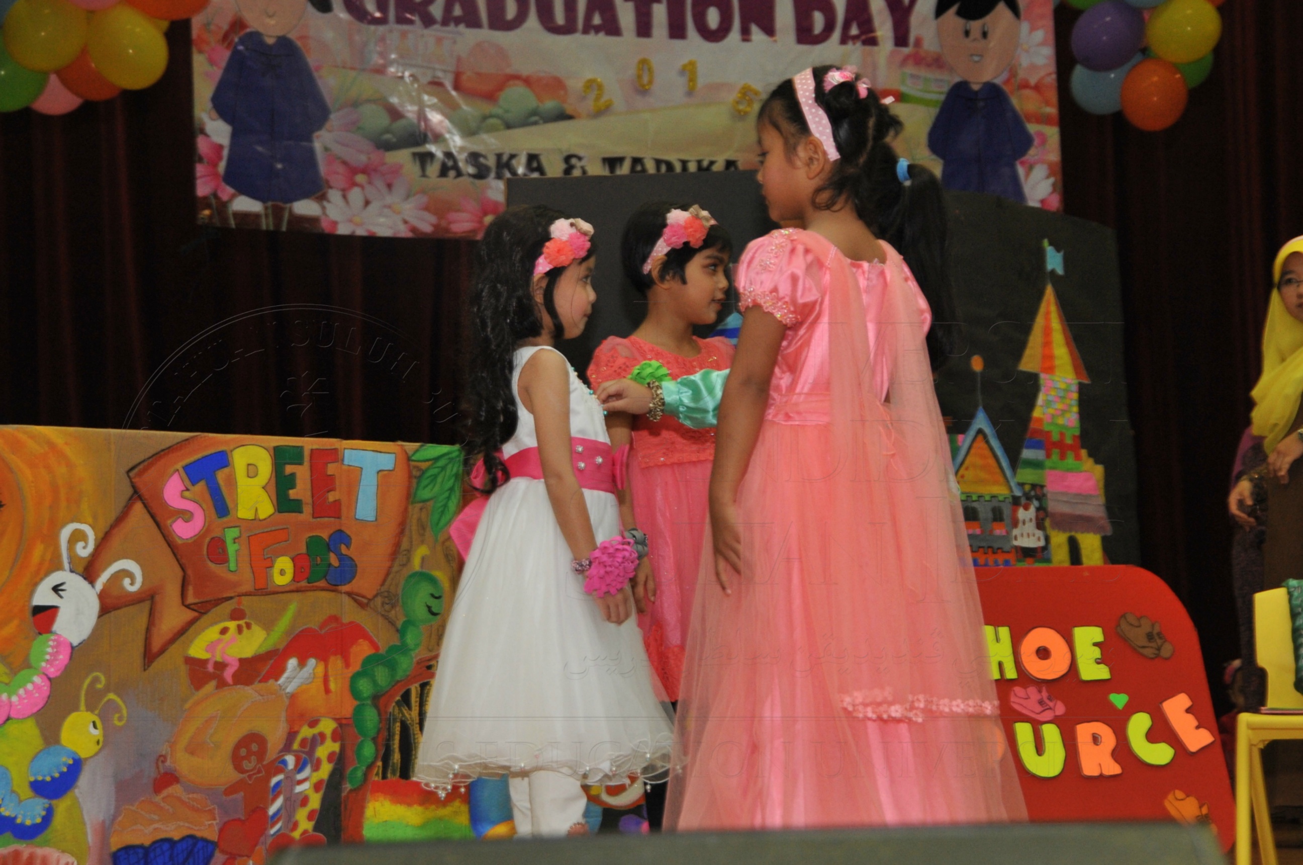 PRO15 163 KONVO HAS 0696